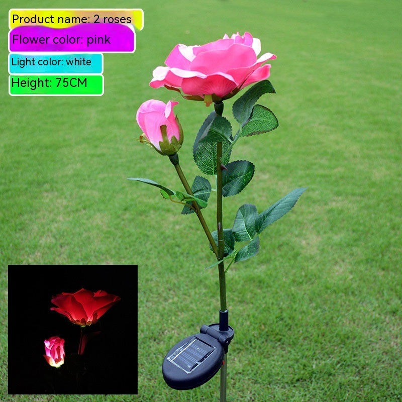 31249da2a80174a027d49b6bbf21eb2c